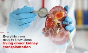 Read more about the article Kidney Transplant