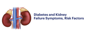 Read more about the article Diabetes and Kidney Disease